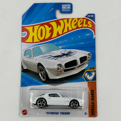 Hot Wheels Pontiac Mainline American Power 1:64 Diecast Assorted (Firebird, Aztek, GTO)